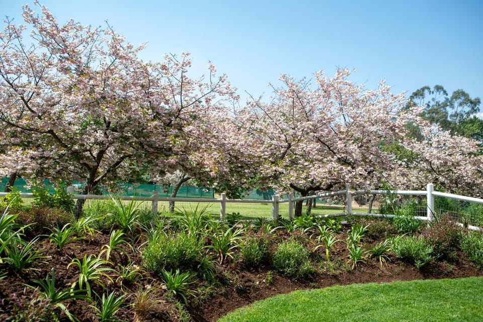 Garden, Garden view