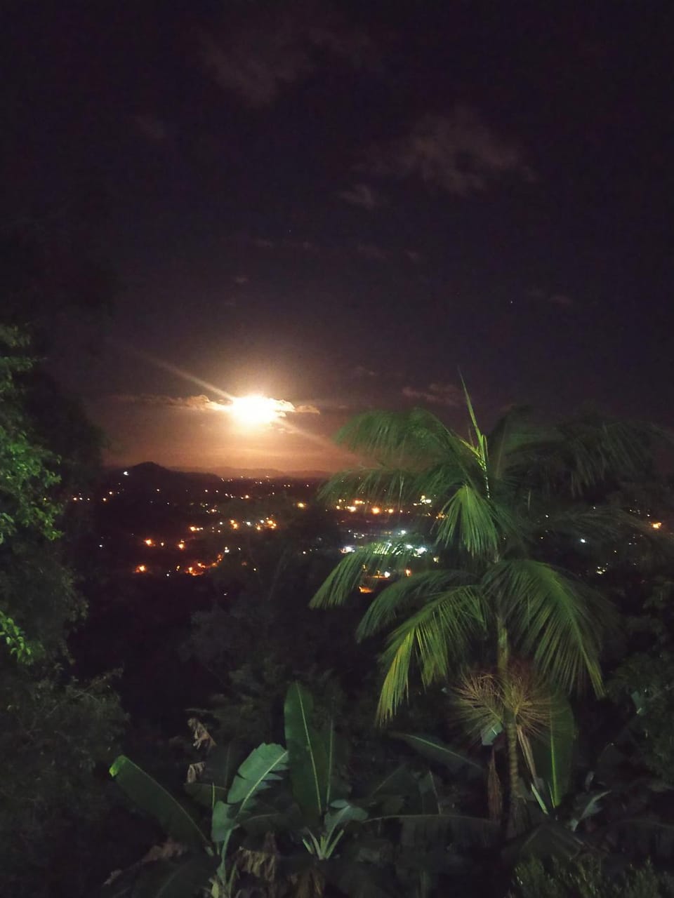 Night