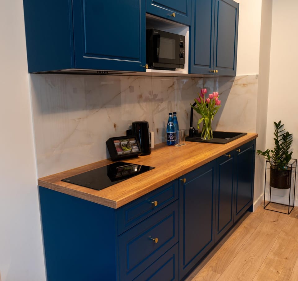 Apartament Wolności Apartment in Lower Silesian Voivodeship