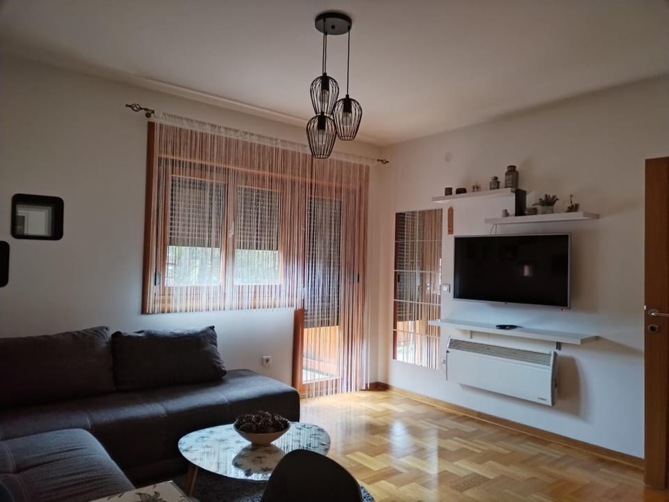 Apartman Erska Apartment in Zlatibor