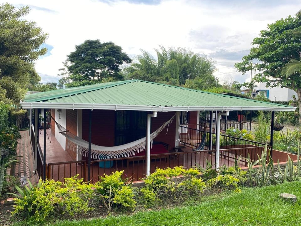 Garden view