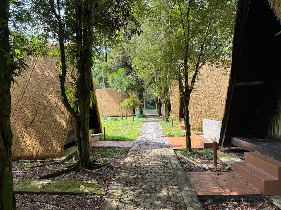 Day, Garden view