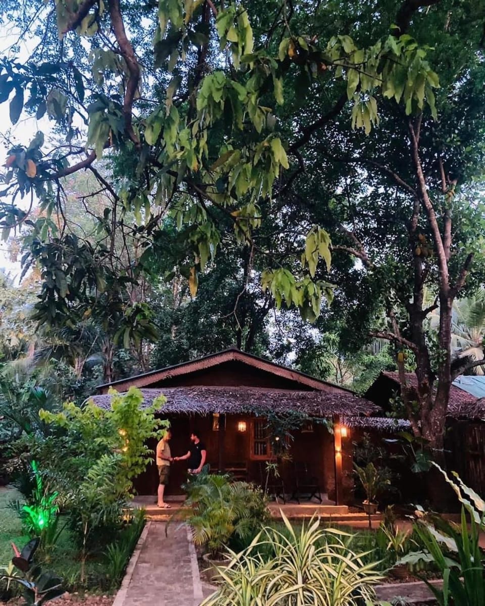 Property building, Garden, Garden view