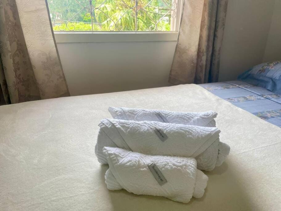 Mirante do Lago - Suíte Diamond em frente ao Lago de Javary Apartment in Miguel Pereira