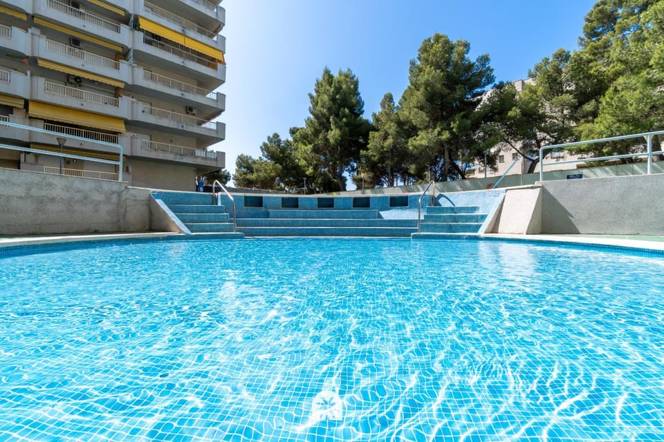 Swimming pool, Swimming pool