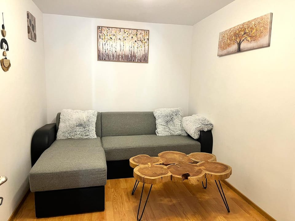 Winter, TV and multimedia, Living room, fireplace, heating, internet