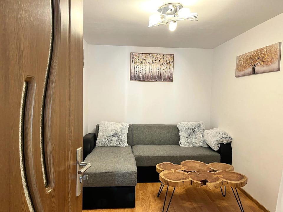 TV and multimedia, Living room, Decorative detail, fireplace, heating, internet