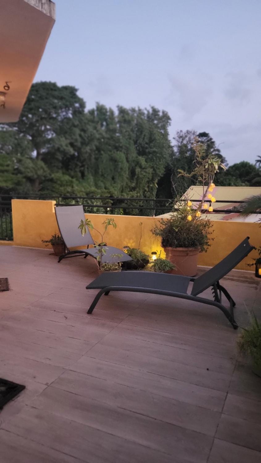 Patio, sunbed