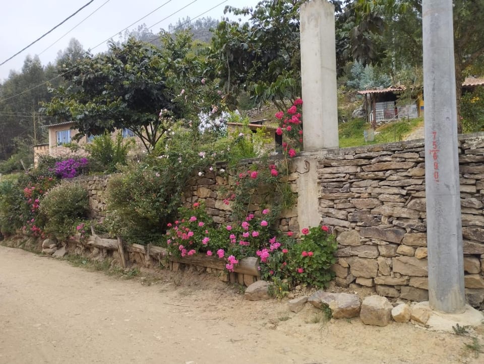 Property building, Garden