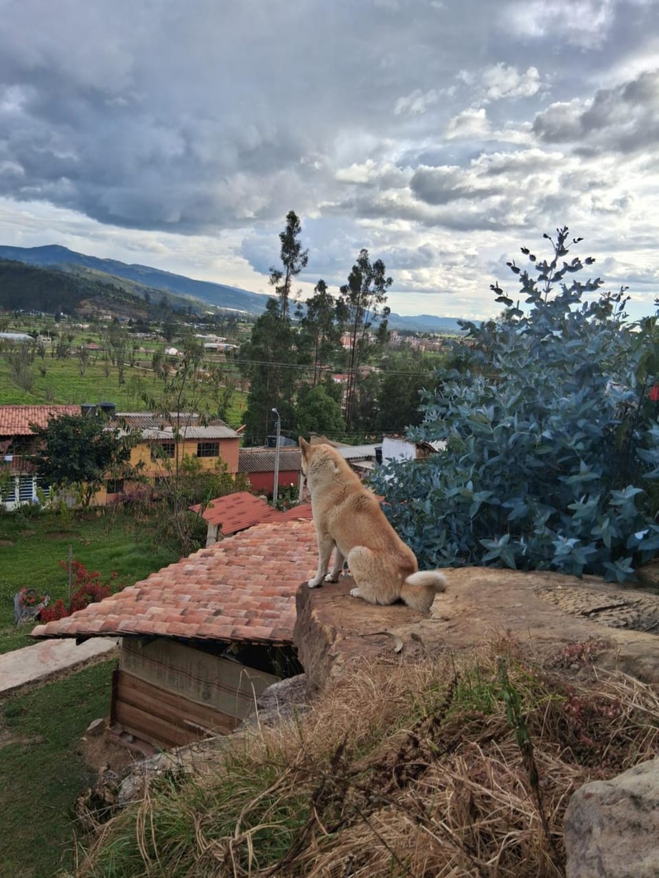 Glamping Colina Campestre Domo Campground/ 
RV Resort in Santander, Colombia
