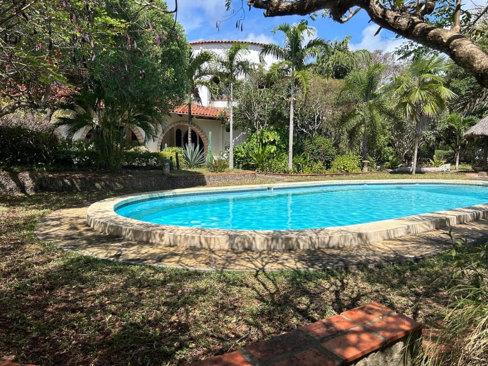 Garden, Garden view, Pool view, Swimming pool