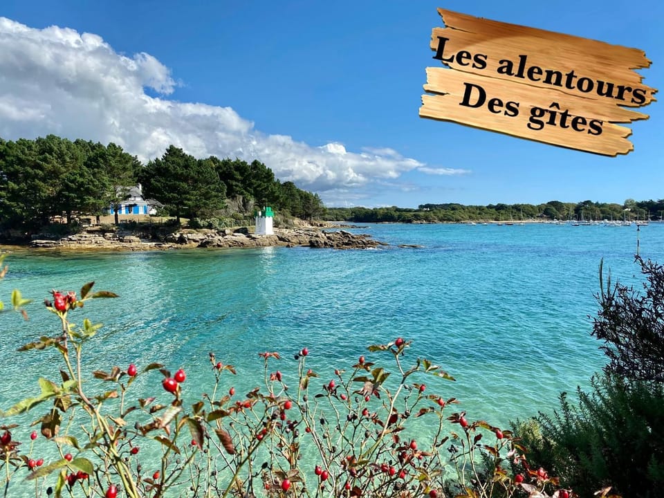 Gîte Bihan 4P piscine ou jacuzzi House in Finistere
