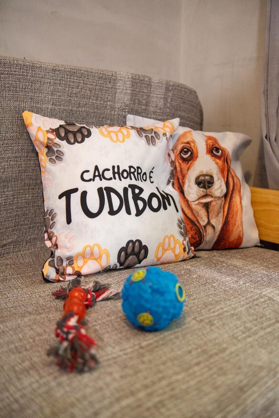 Living room, Pets, pet friendly