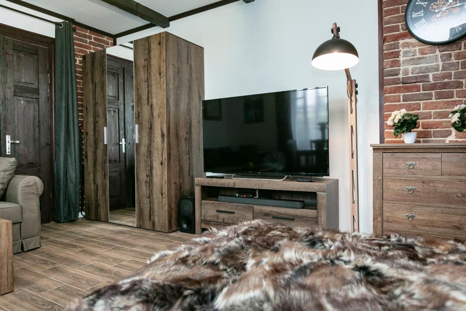 Bed, TV and multimedia, Living room, Photo of the whole room, Seating area, Evening entertainment, Bedroom, wardrobe