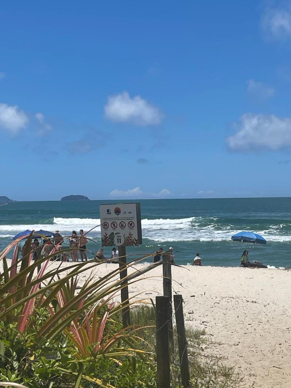 Itamambuca -50 mts da praia, surf, mata atlântica com piscina aquecida House in State of São Paulo