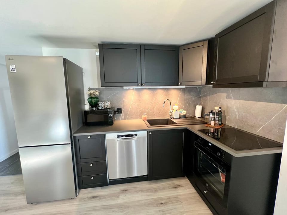dishwasher, oven, stove, toaster