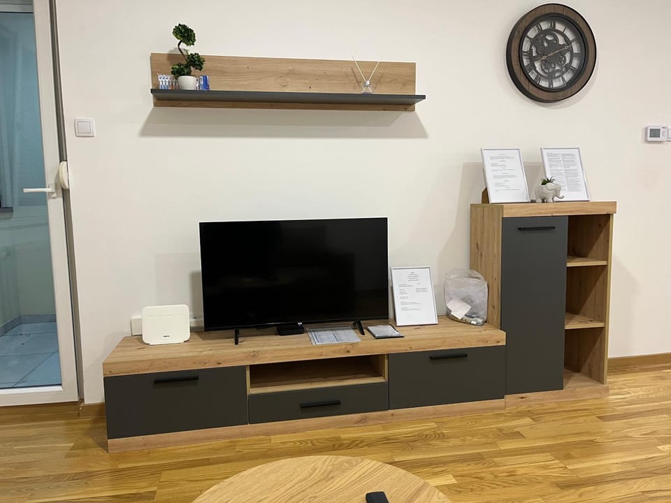 TV and multimedia
