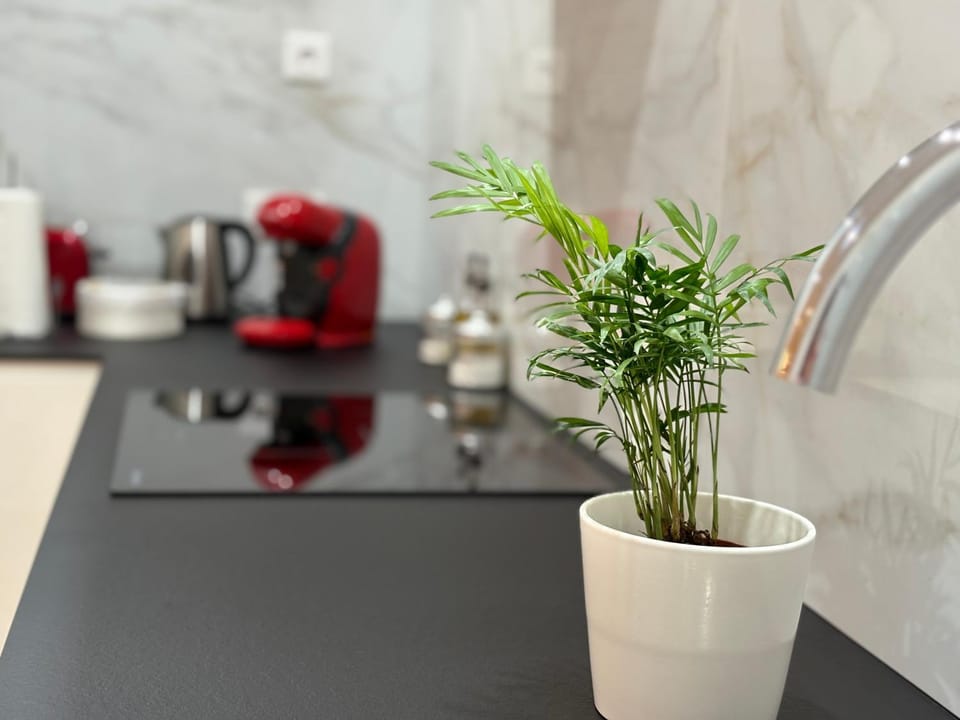 Coffee/tea facilities, Kitchen or kitchenette
