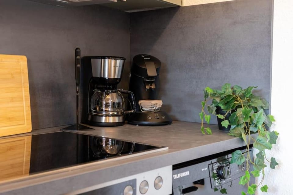 Pirna City Apartment - 4 Personen, WLAN, Waschmaschine Apartment in Pirna