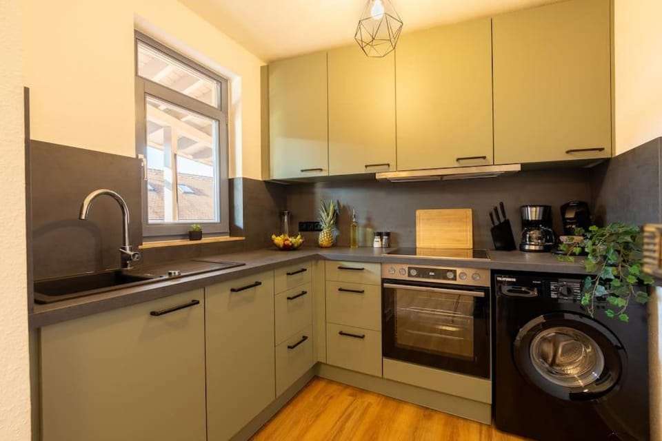 Pirna City Apartment - 4 Personen, WLAN, Waschmaschine Apartment in Pirna