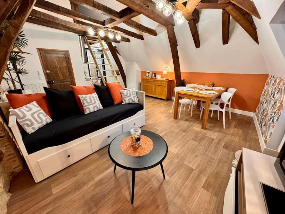 Grand studio, Cœur Historique ! Apartment in Centre-Val de Loire