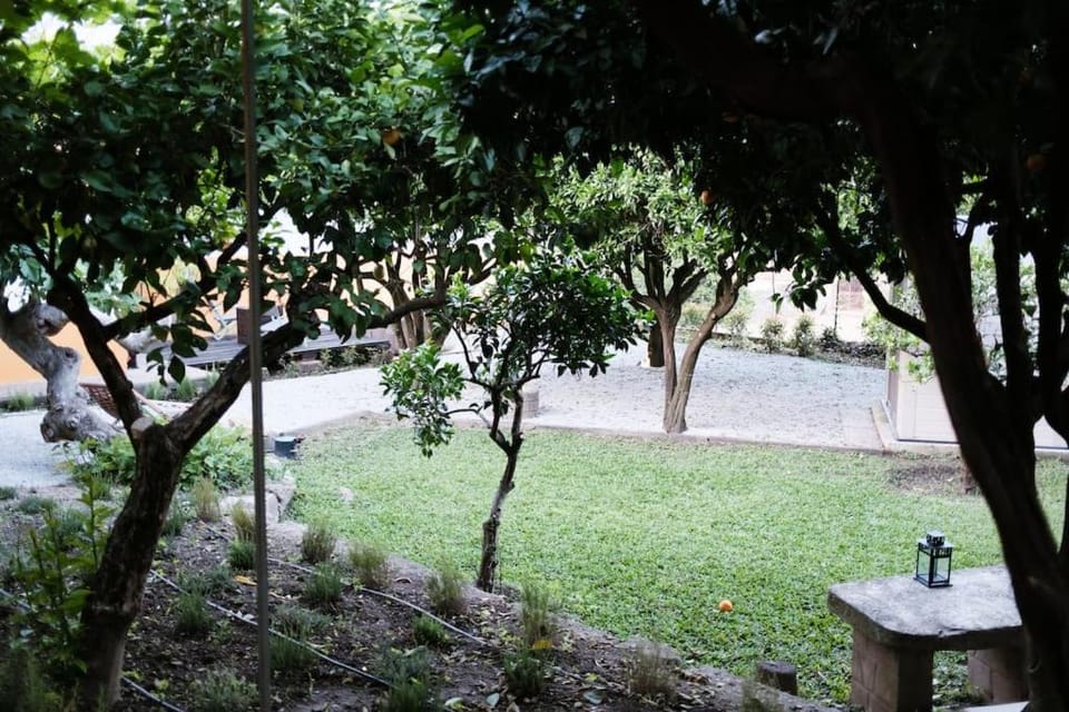 Garden, Garden view