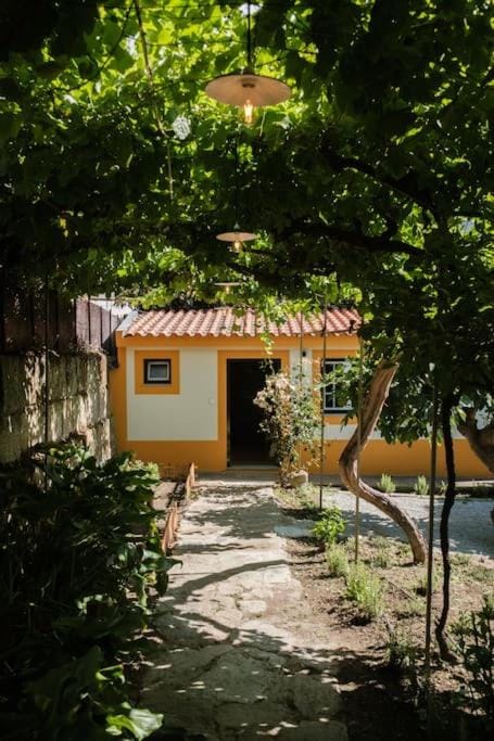 Property building, Garden, Garden view