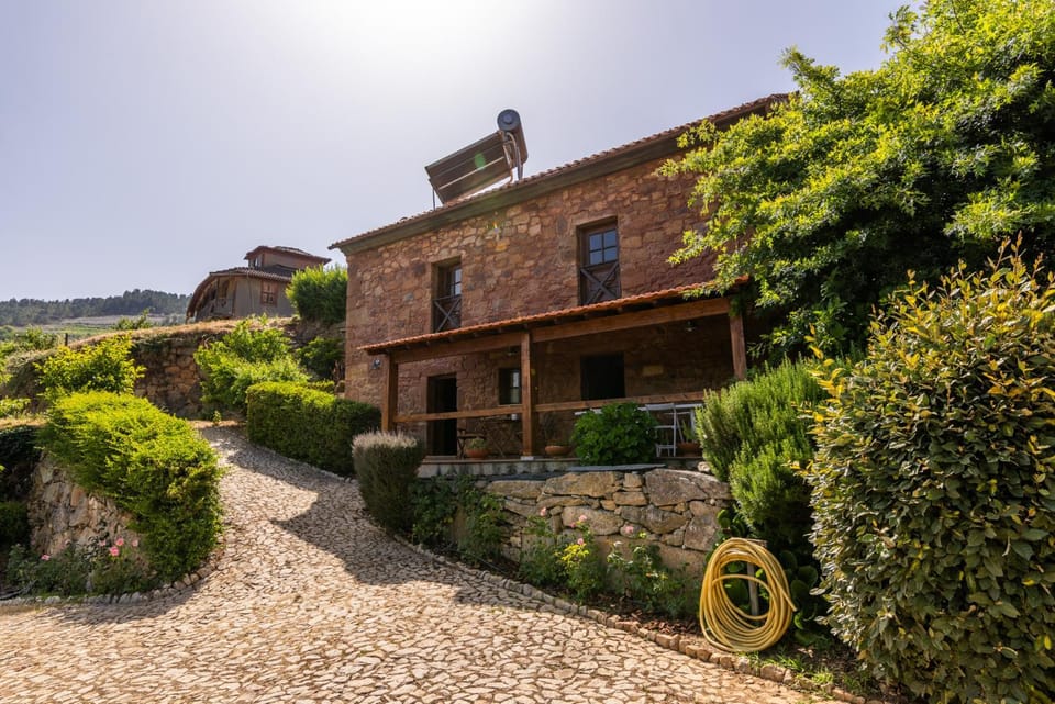 Property building, Garden view