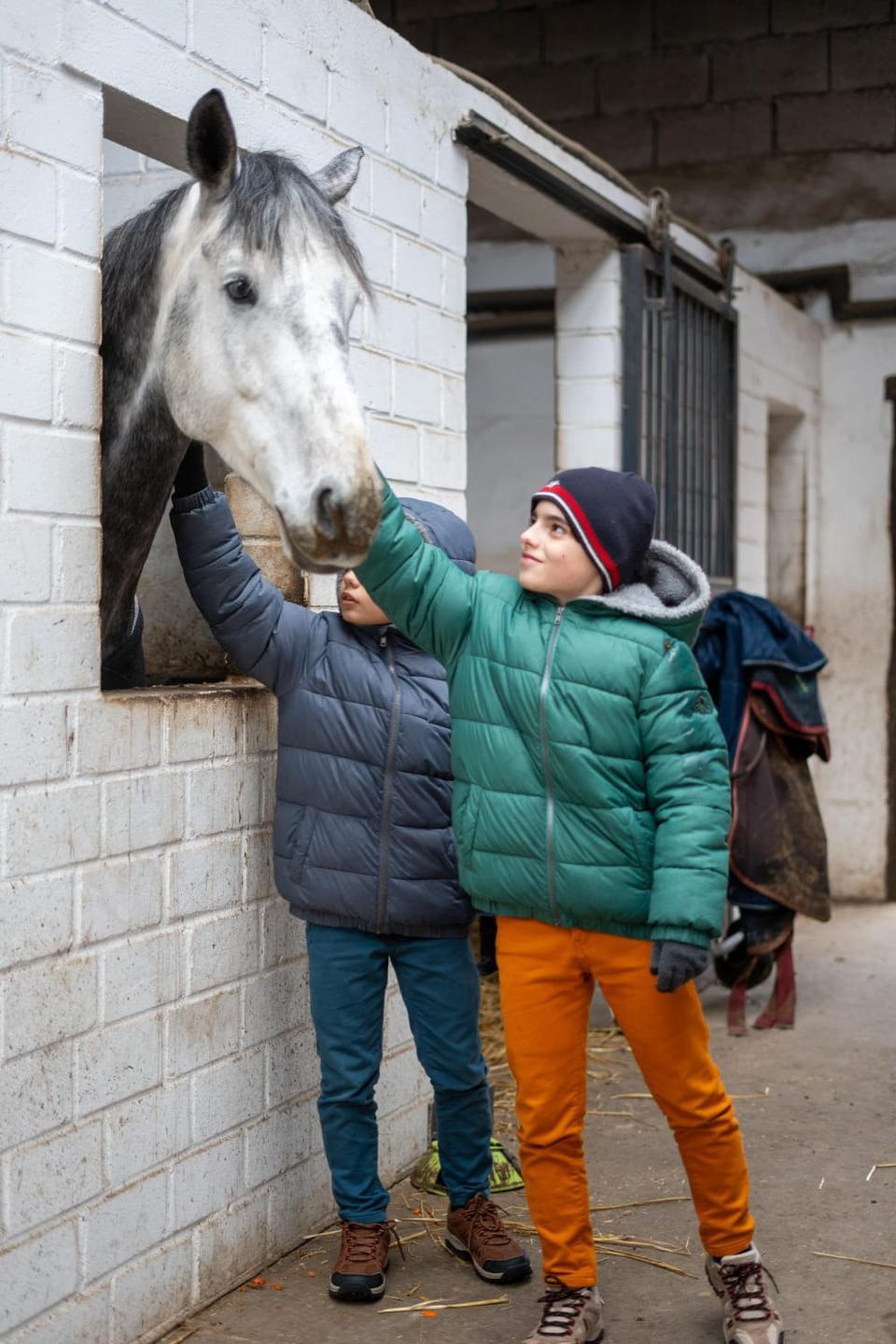 Horse-riding, Horse-riding, group of guests
