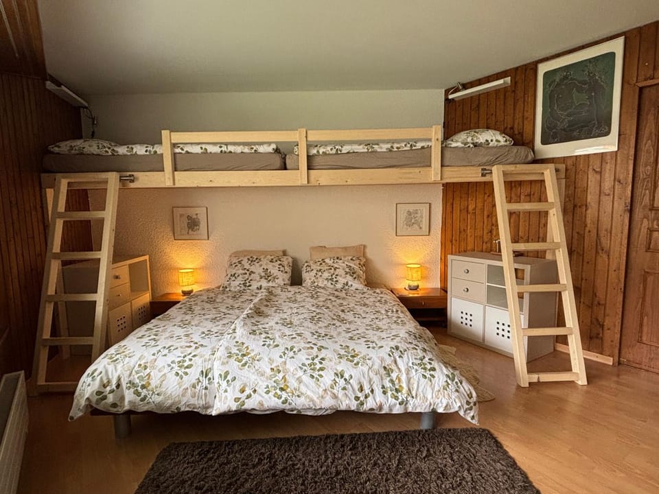 Bed, Photo of the whole room, Bedroom, bunk bed