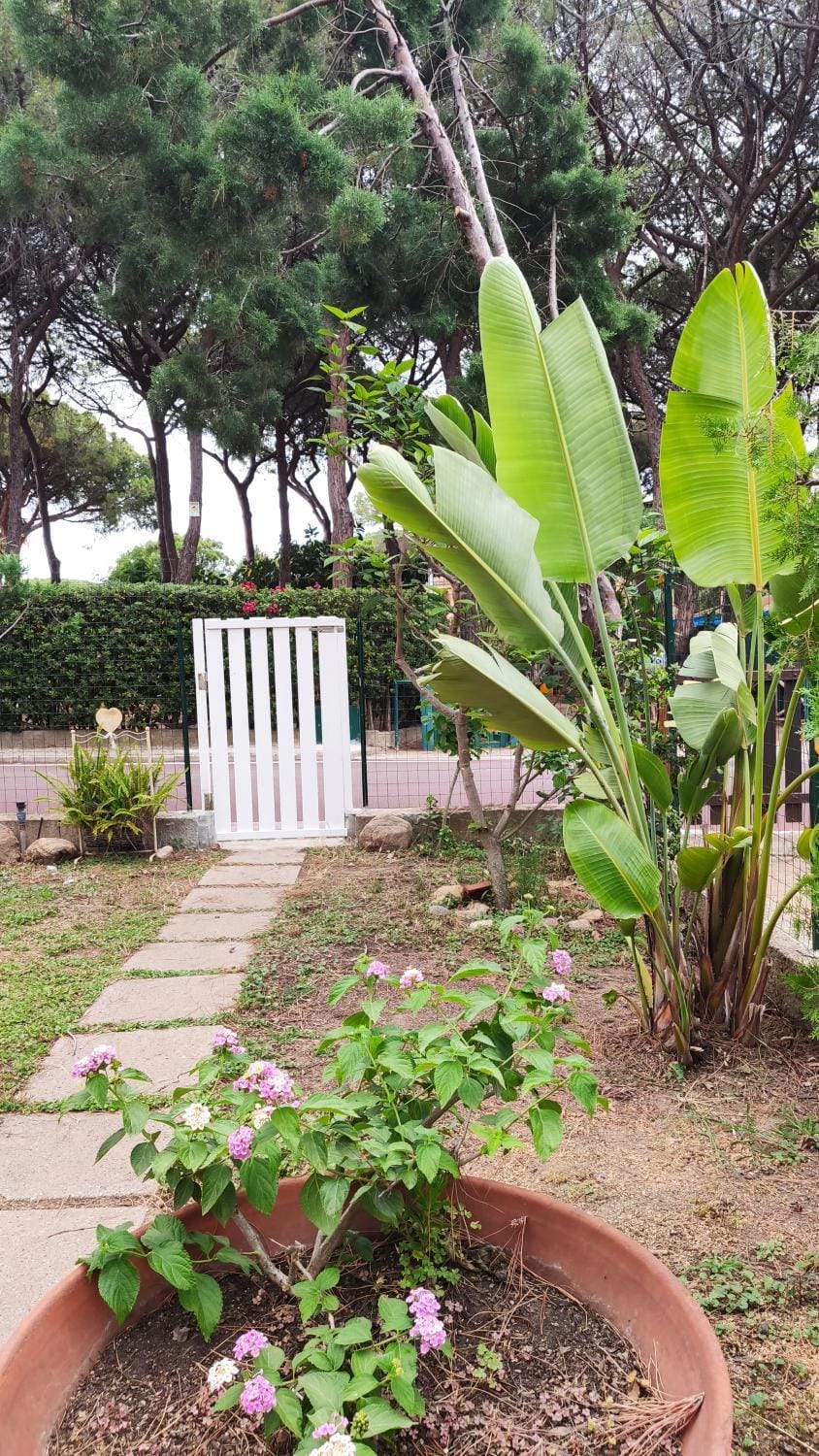 Garden, Garden