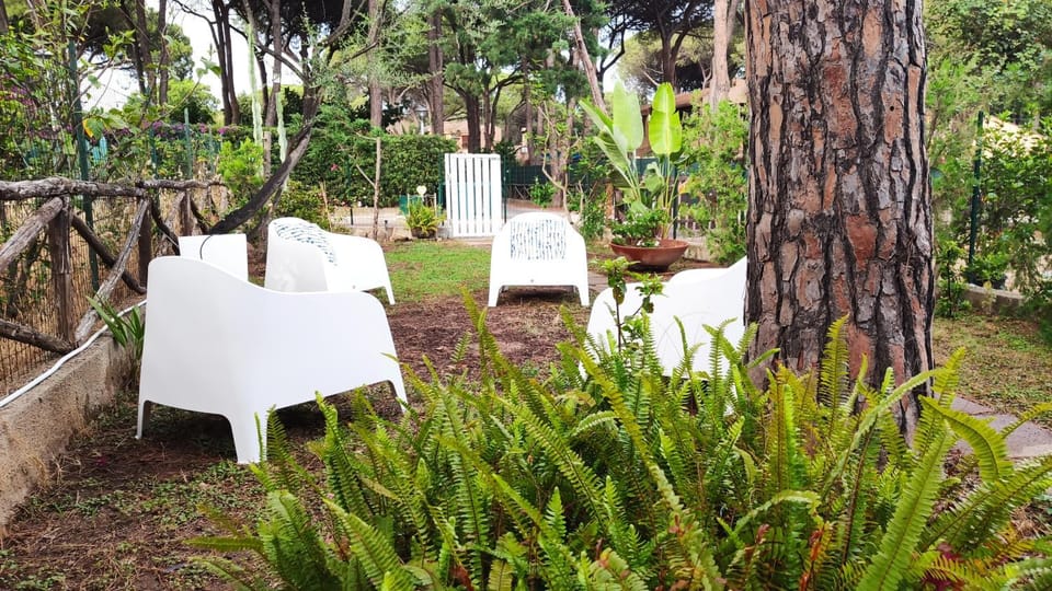 Garden, Garden