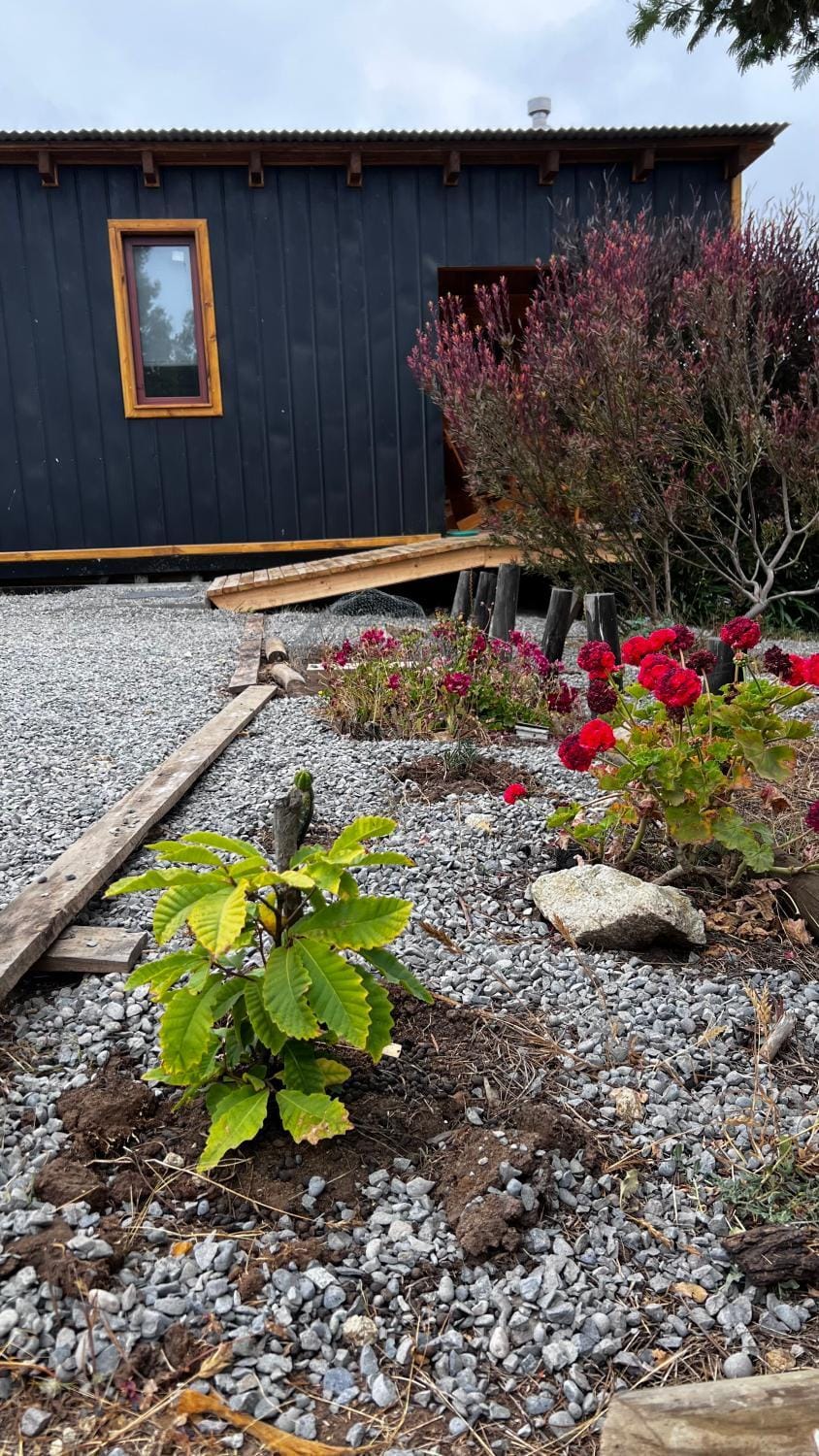 Garden, Garden view
