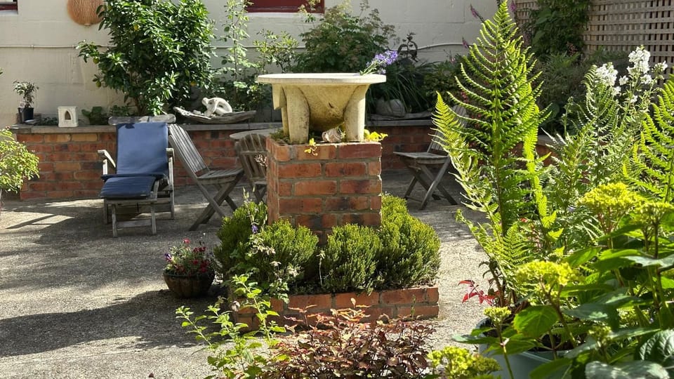 Garden view