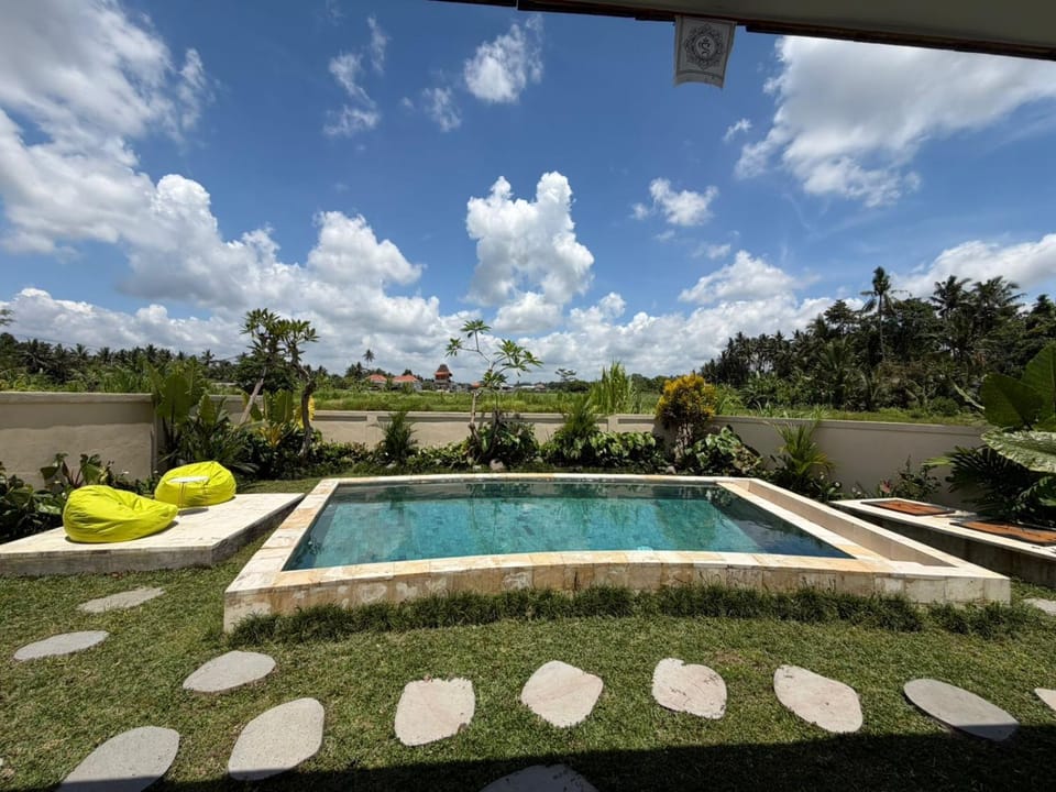 Garden, Swimming pool