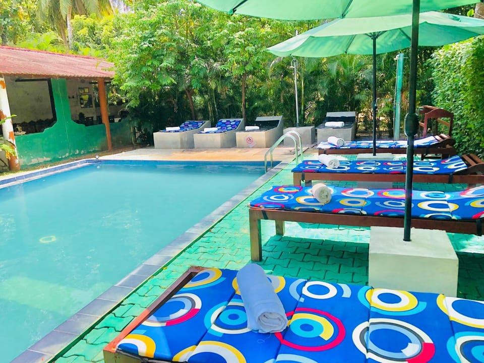 Patio, Day, Garden, Garden view, Pool view, Swimming pool, sunbed