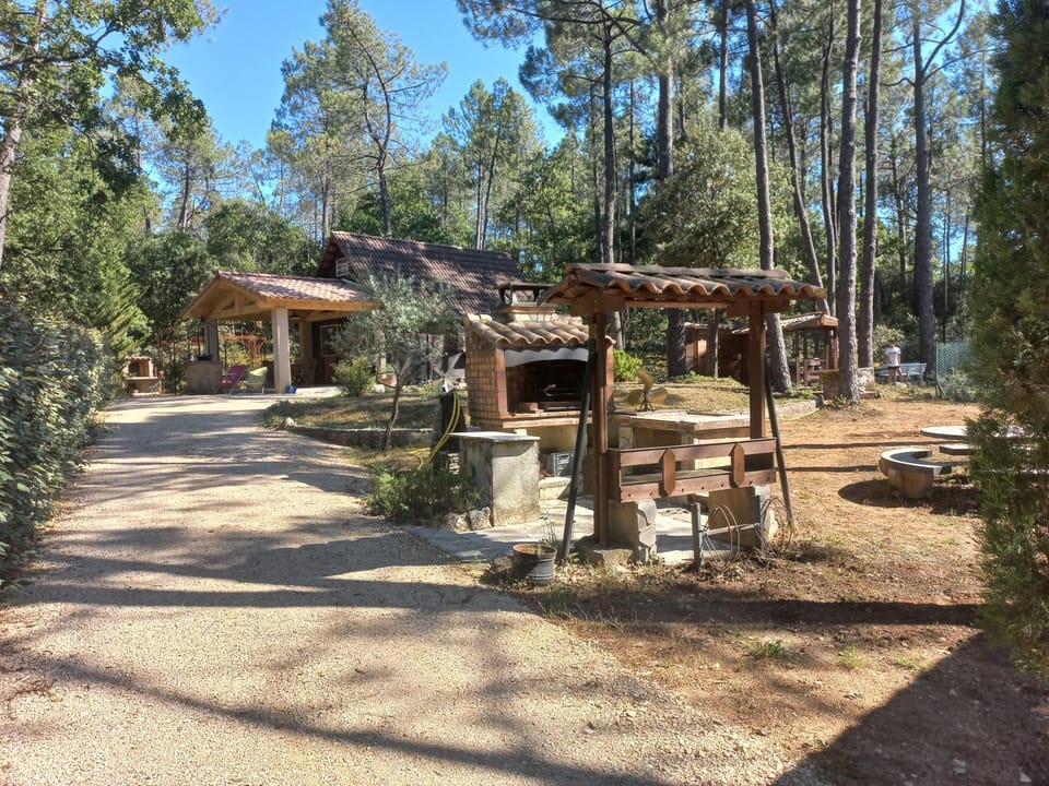 Natural landscape, BBQ facilities, furniture