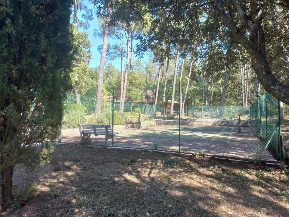 Tennis court