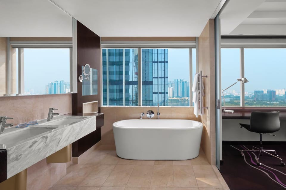 Bathroom, City view