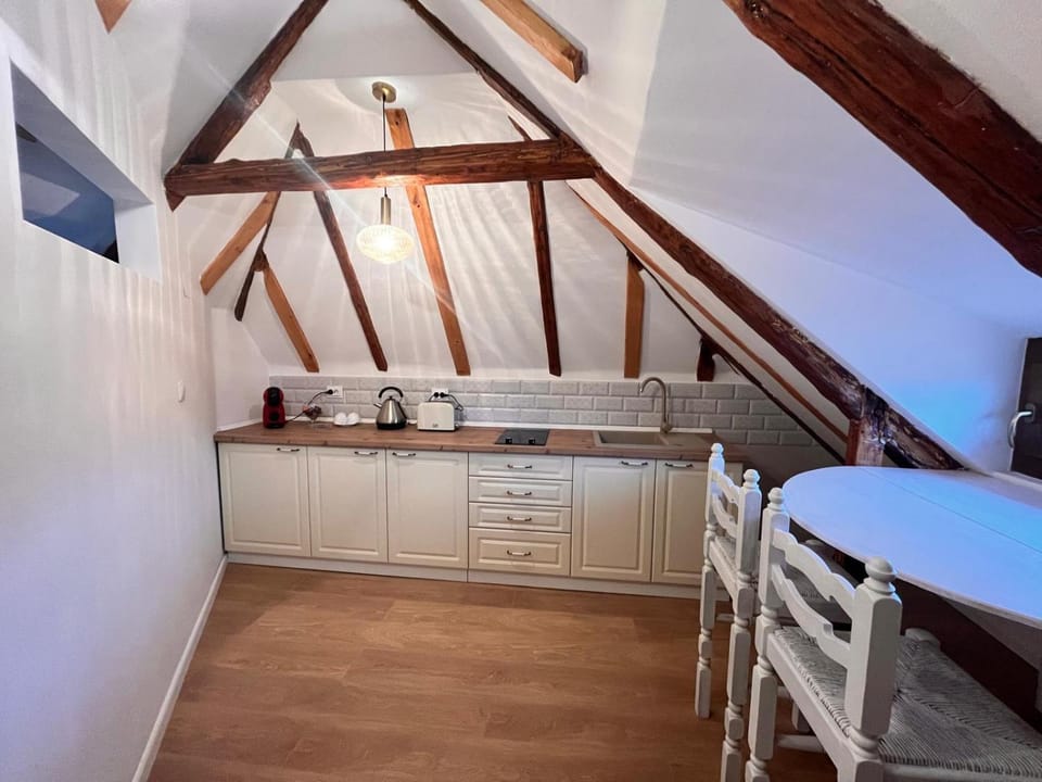 Apartament Eclectic Apartment in Sibiu