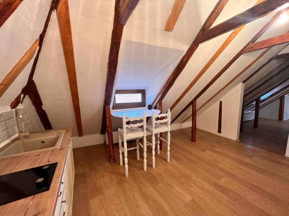 Apartament Eclectic Apartment in Sibiu