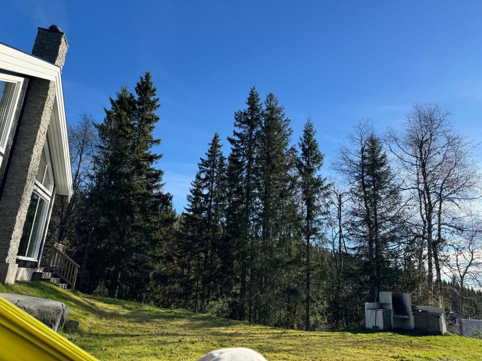 Skogshytte på Skreia Chalet in Viken, Norway