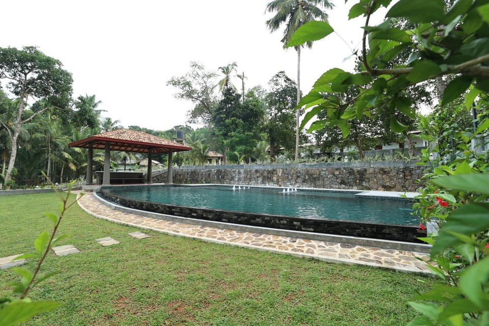 Day, Natural landscape, Garden, Pool view, Swimming pool