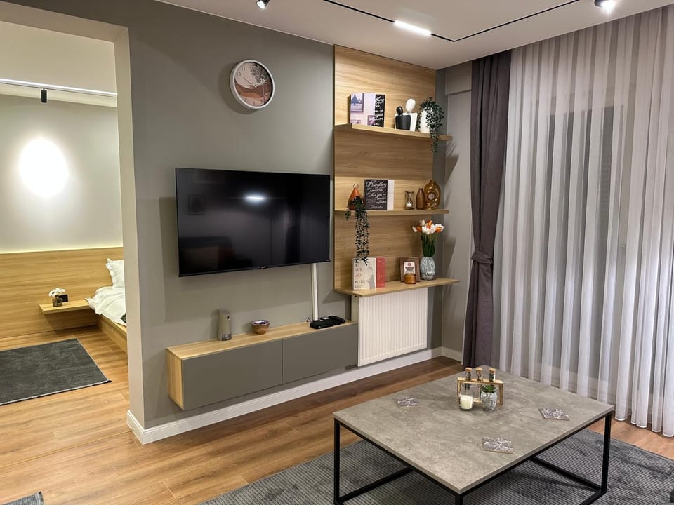 TV and multimedia