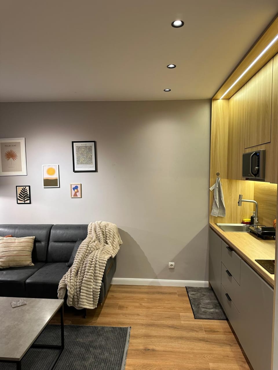 Kitchen or kitchenette, Living room, Seating area