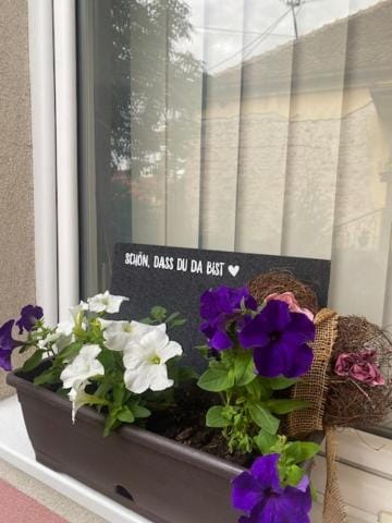 Apartman MILI Apartment in Serbia