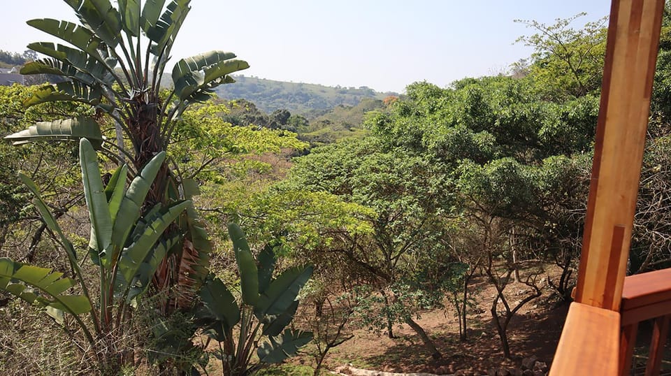 View (from property/room)