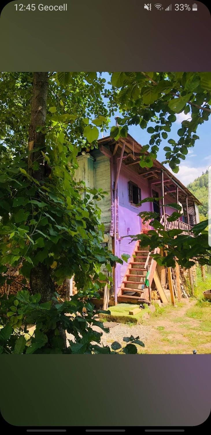 guest house welcome Bed and Breakfast in Adjara, Georgia