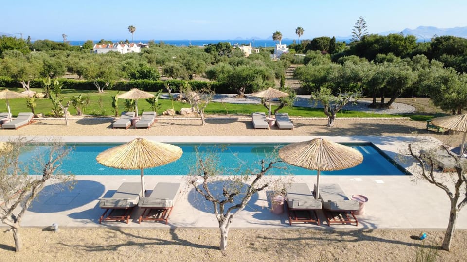 Natural landscape, Bird's eye view, Garden, Swimming pool, sunbed