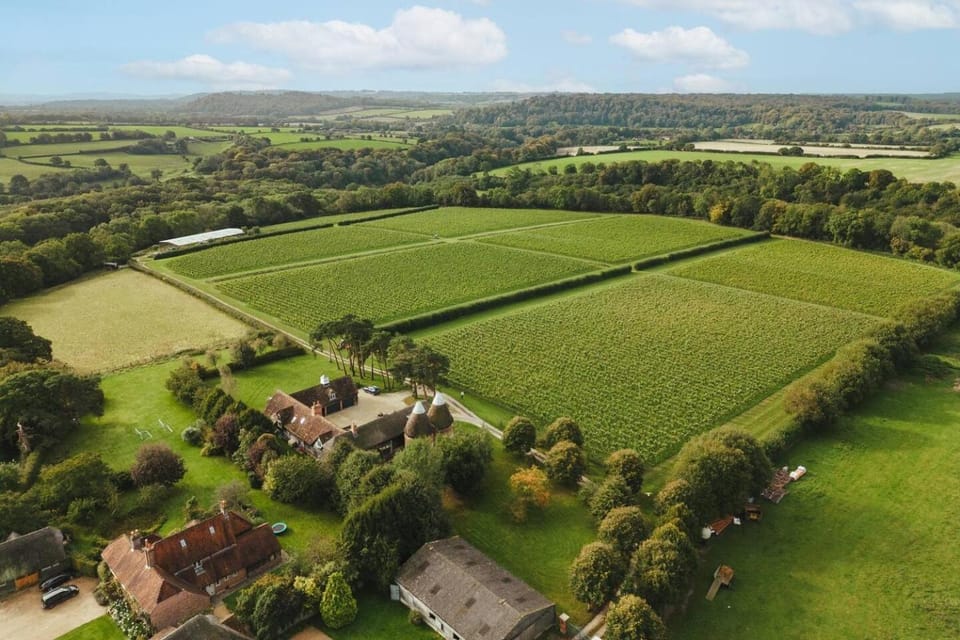 Robin's Nest - Otium Wine Estate House in England